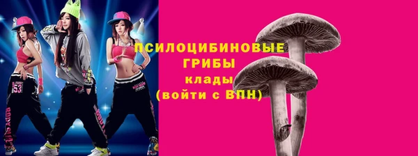 индика Сафоново