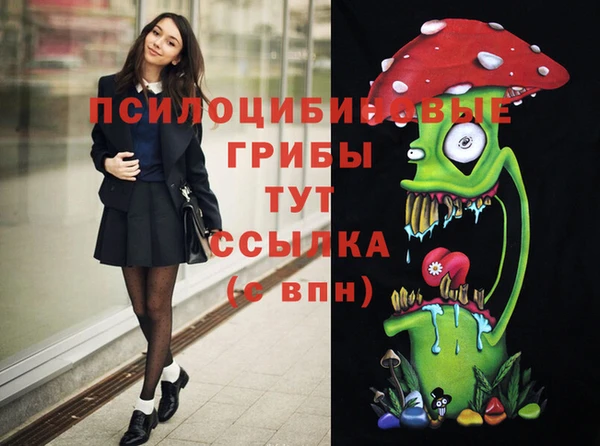 прущий лед Саяногорск