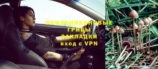 дурь Сатка