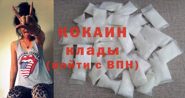 индика Сафоново