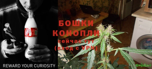трава Абинск