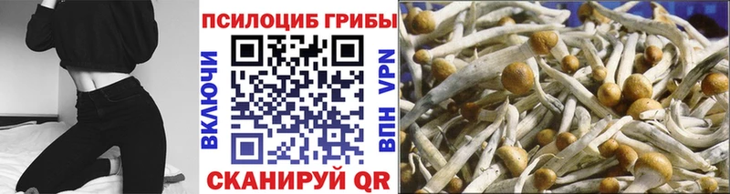 mega как зайти  Абдулино  Псилоцибиновые грибы ЛСД 
